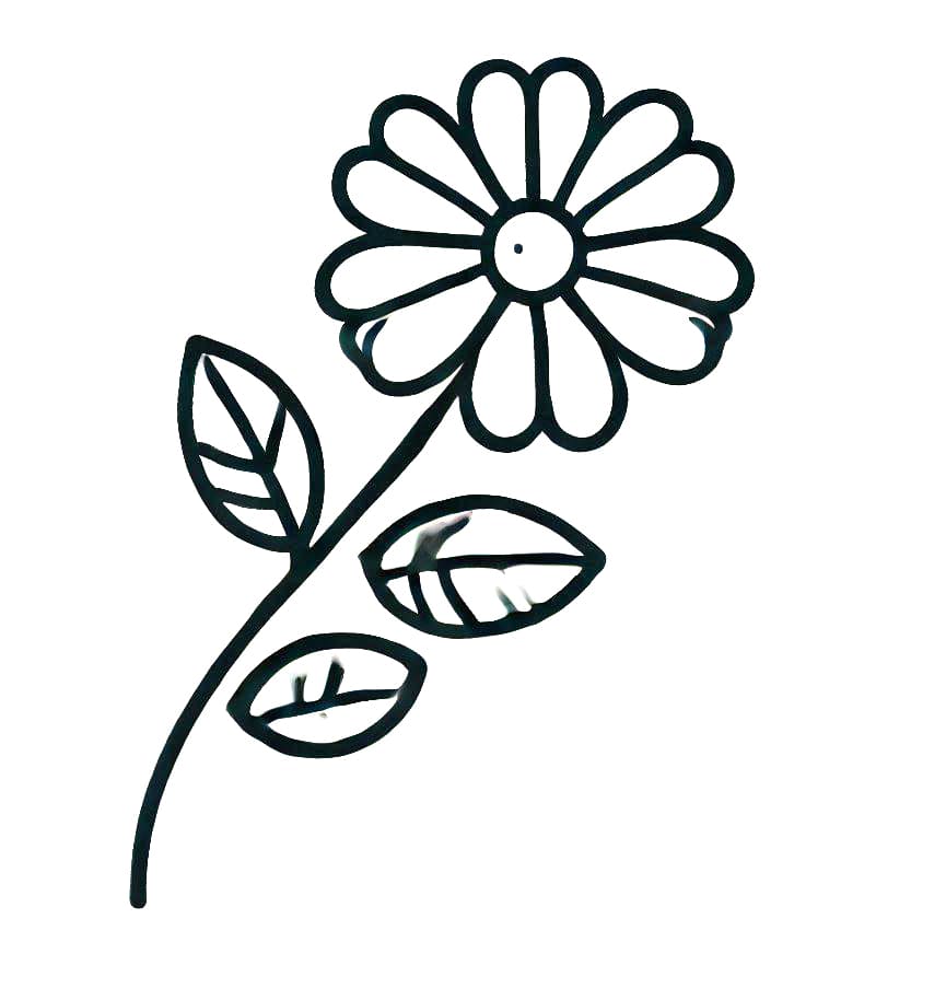 Květina k Vymalování omalovánka