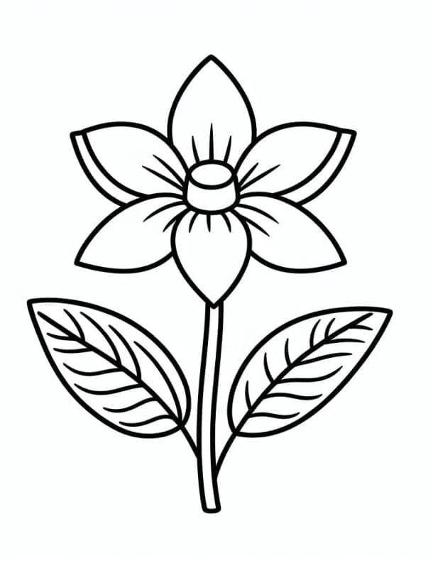 Květina pro 6leté Děti omalovánka