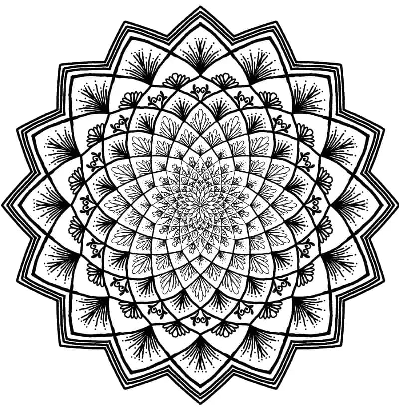 Květinová Mandala (12) omalovánka