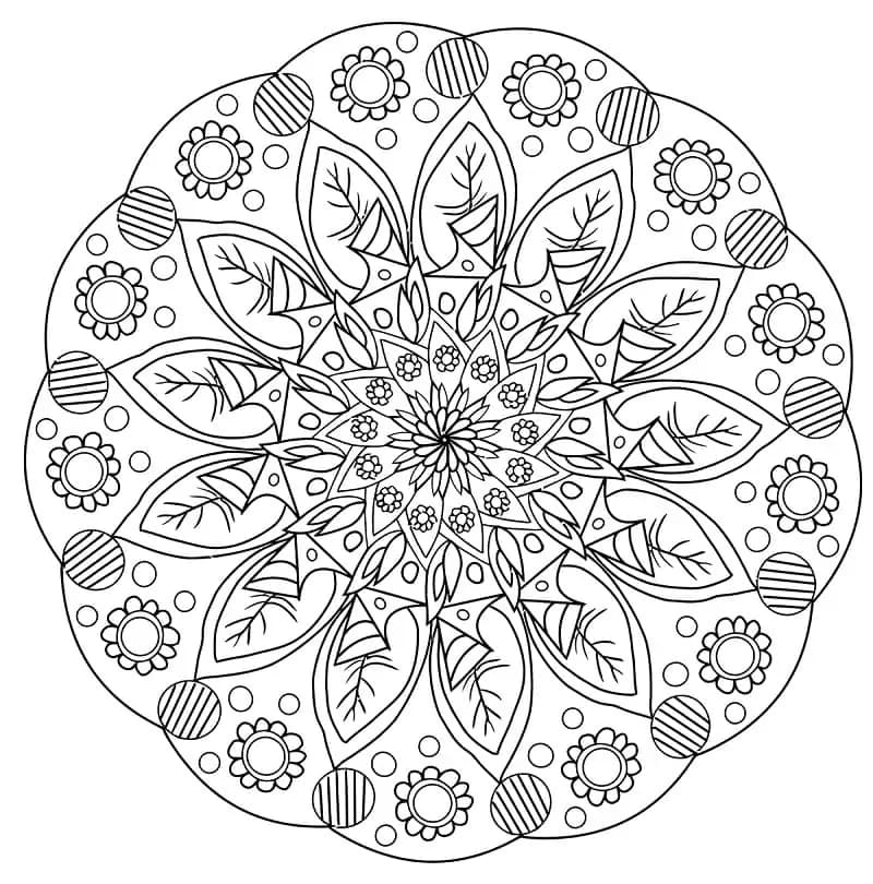 Květinová Mandala (13) omalovánka