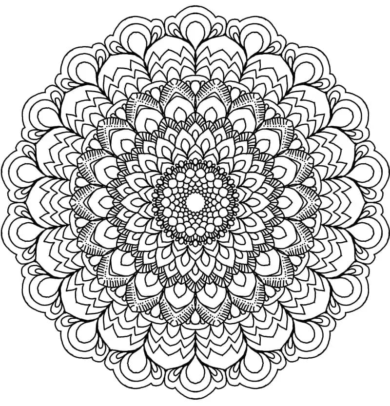 Květinová Mandala (15) omalovánka