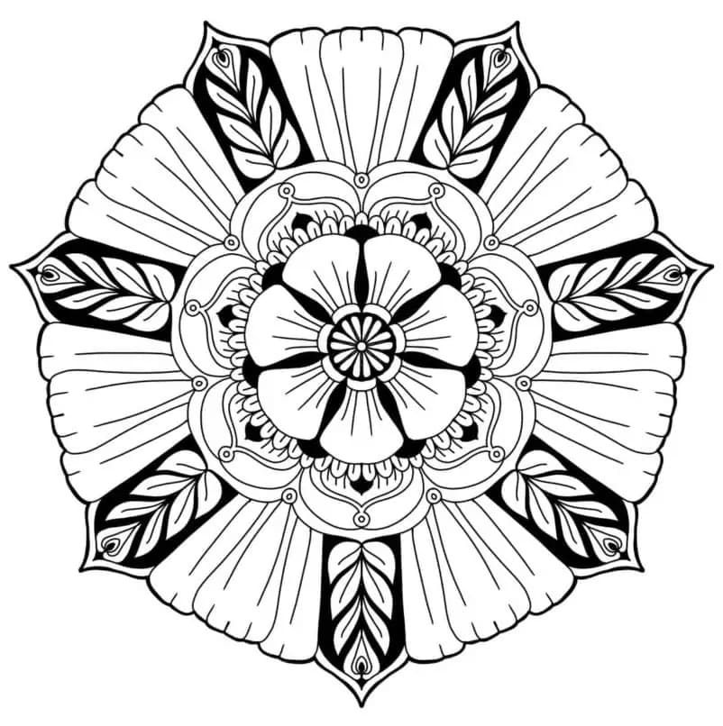 Květinová Mandala (24) omalovánka