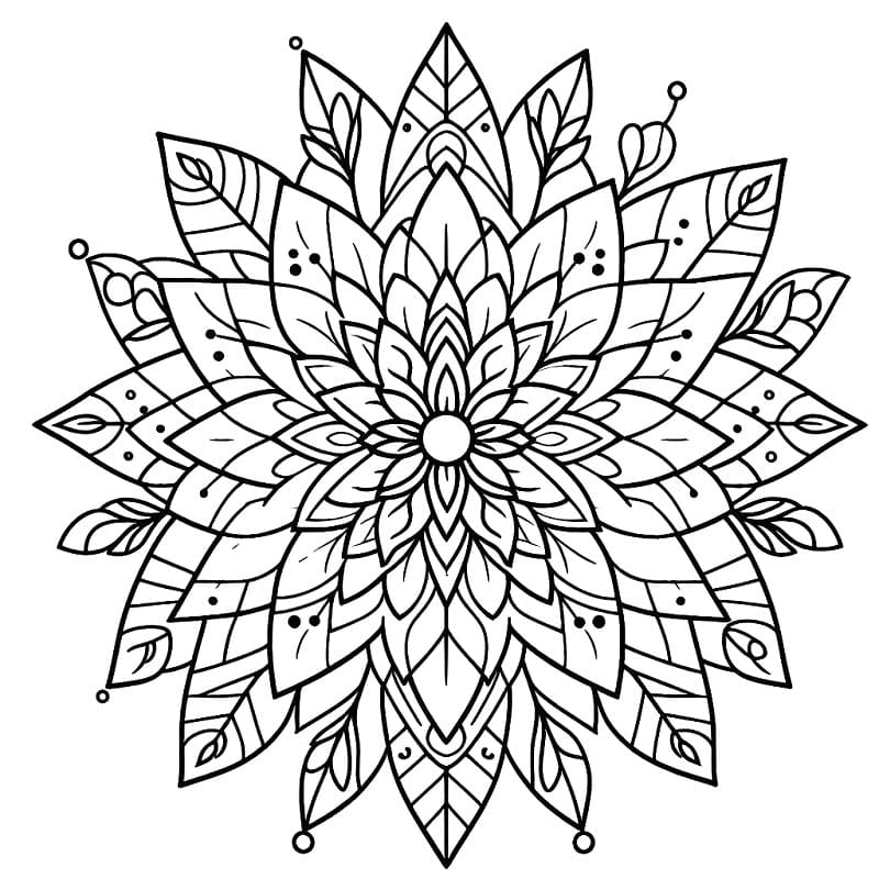 Květinová Mandala (31) omalovánka