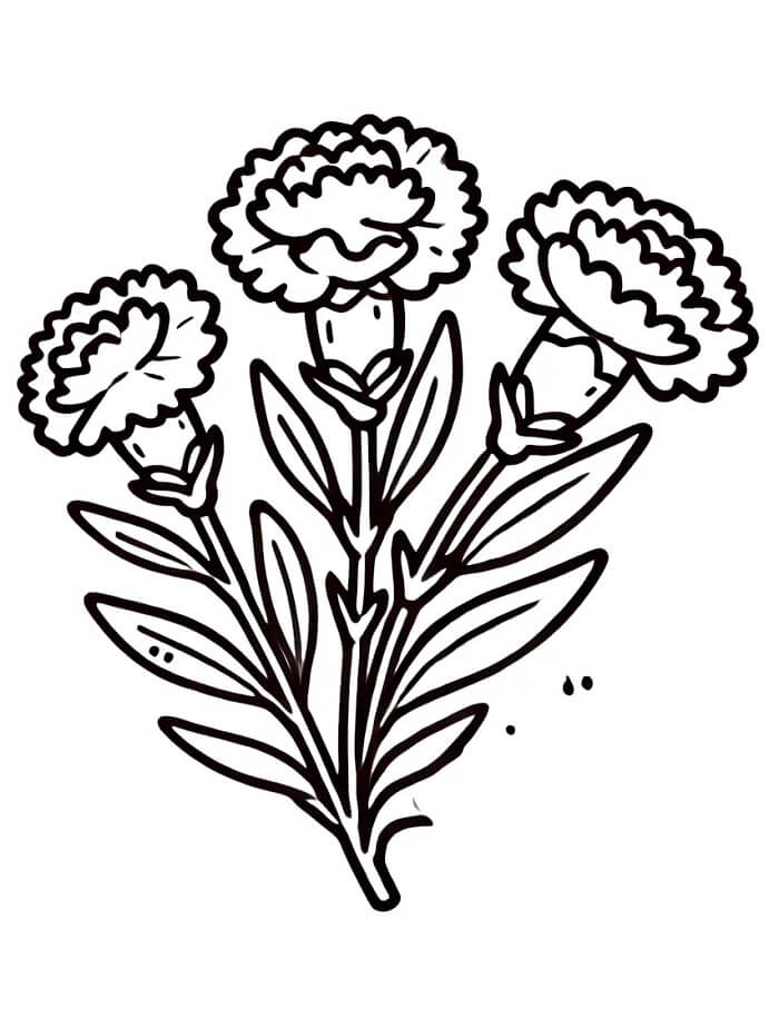 Kytice Květin Zdarama omalovánka