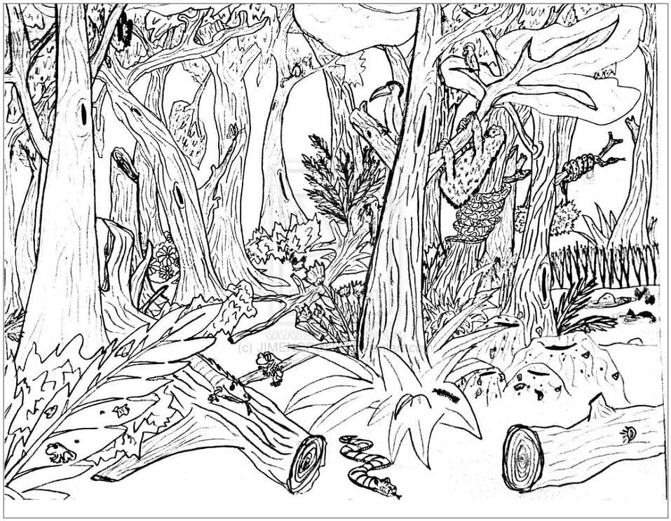 Les Zdarma Tisknutelný omalovánka