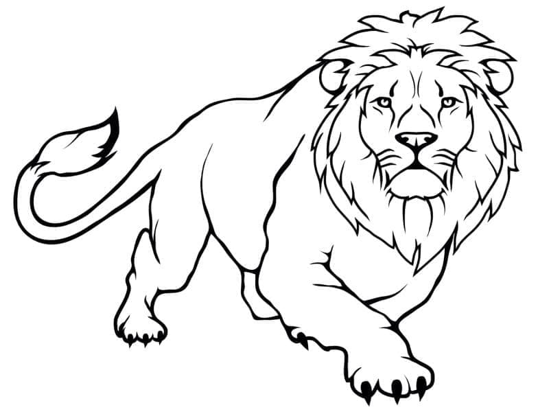 Lev (1) omalovánka