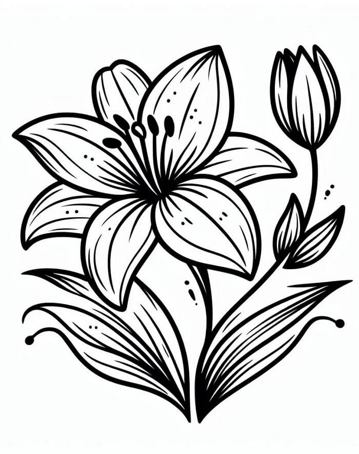 Lilie Tisknutelný pro Děti omalovánka