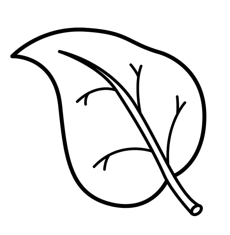 List Prázdniny omalovánka