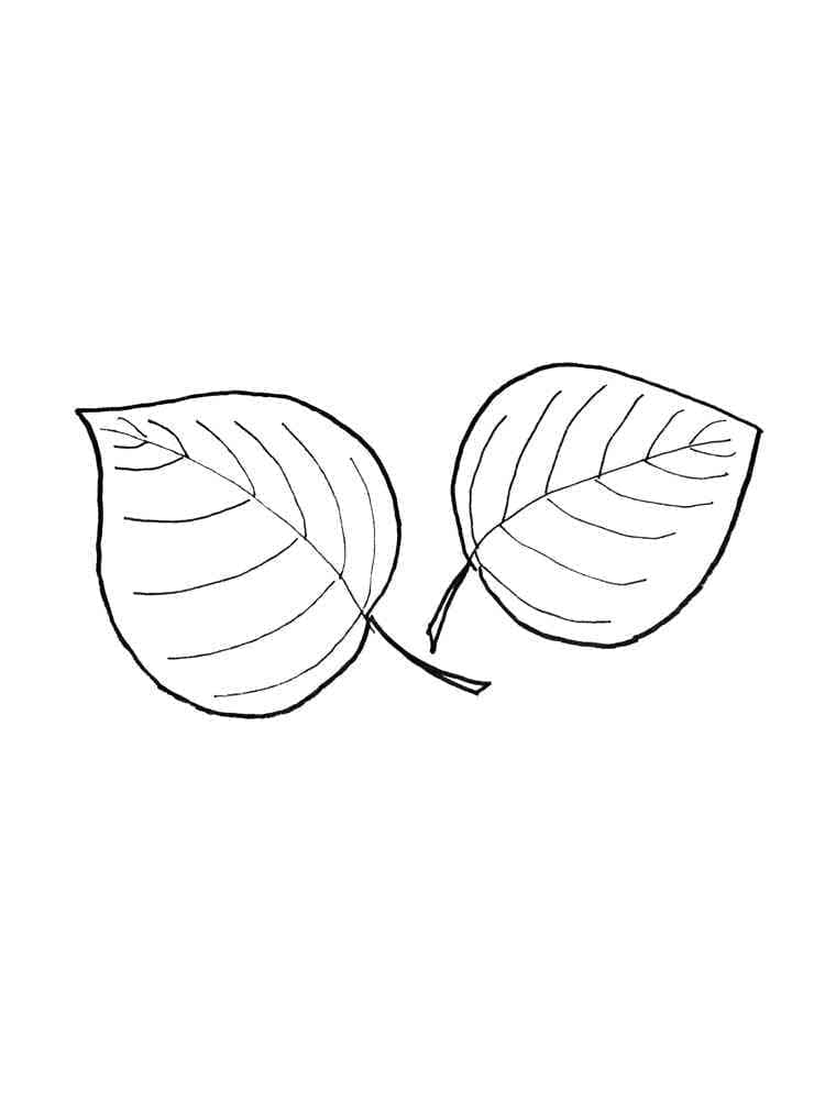 List k Vymalování omalovánka