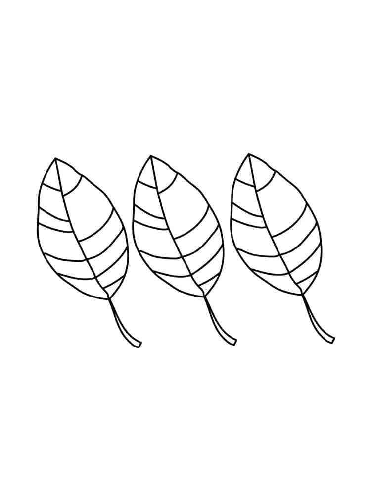 List pro Děti omalovánka