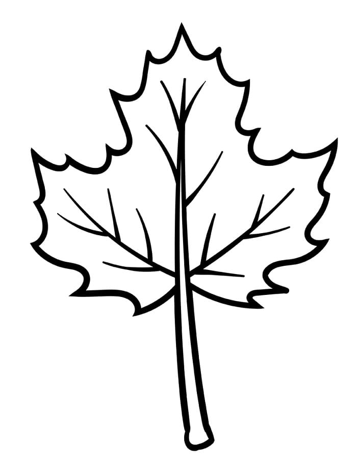 Listy (1) omalovánka