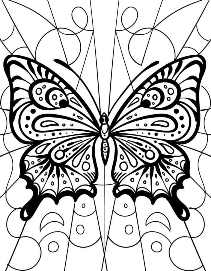 Motýl Hmyz omalovánka