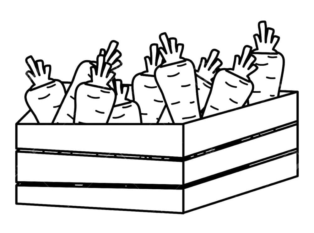 Mrkev Tisknutelná omalovánka