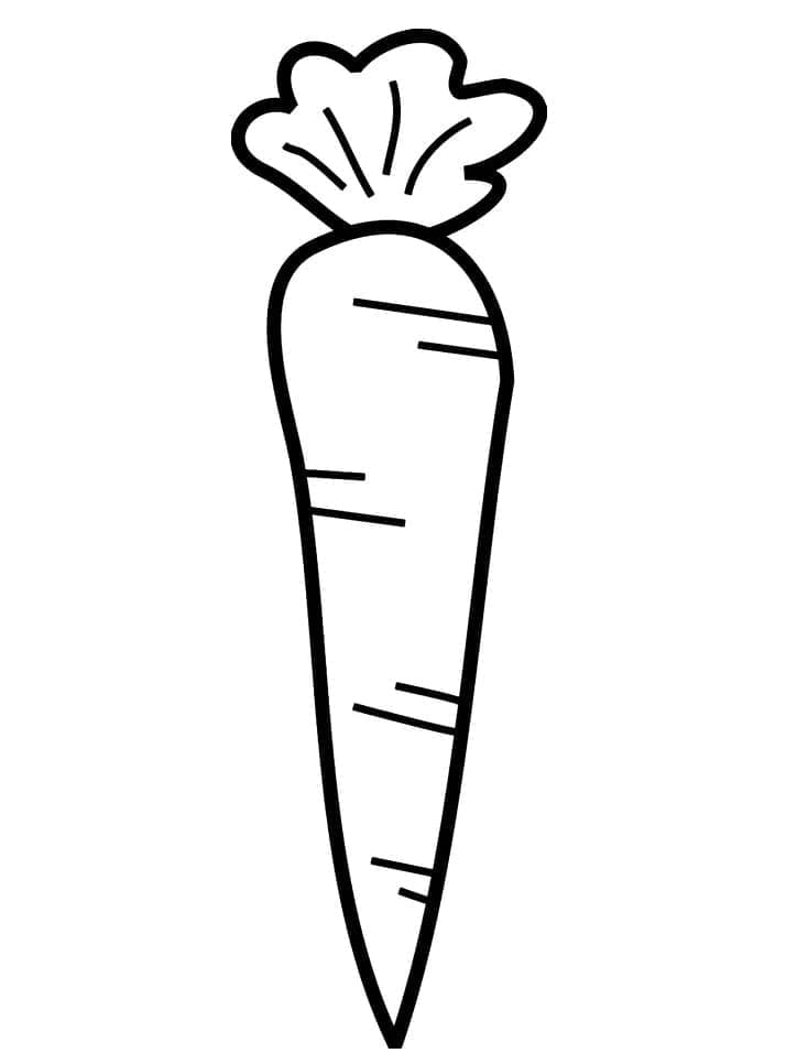 Mrkev pro 4leté Děti omalovánka