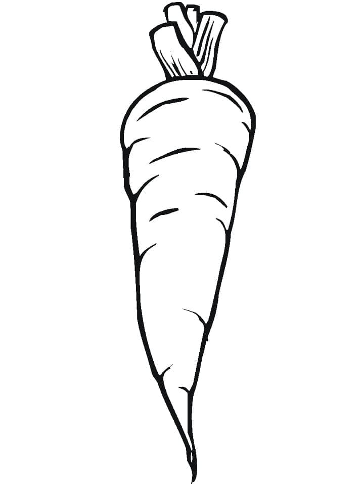 Mrkev pro 5leté Děti omalovánka