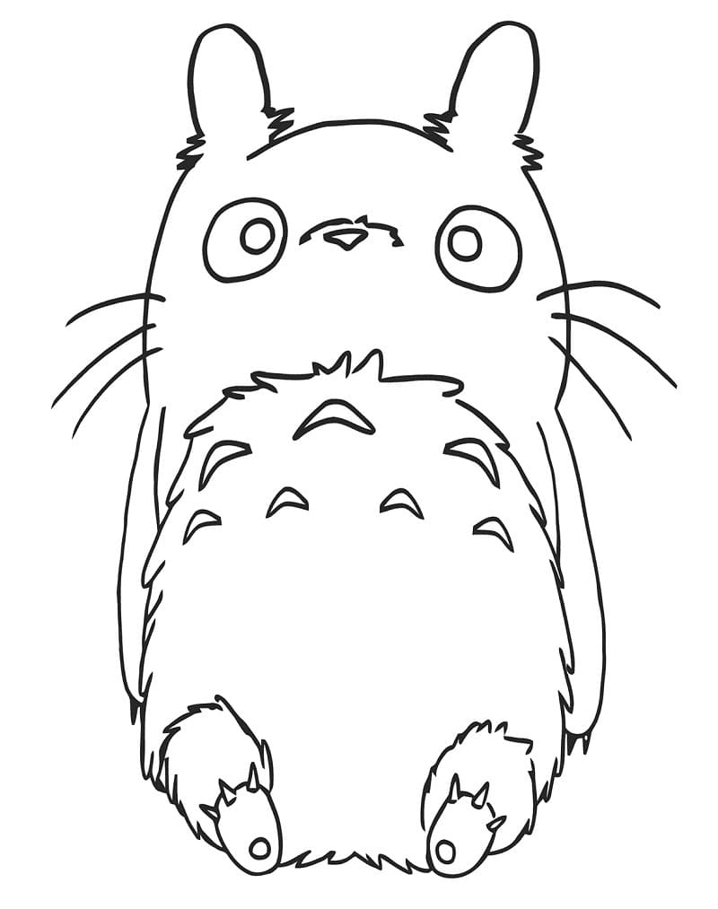 Můj Soused Totoro (14) omalovánka