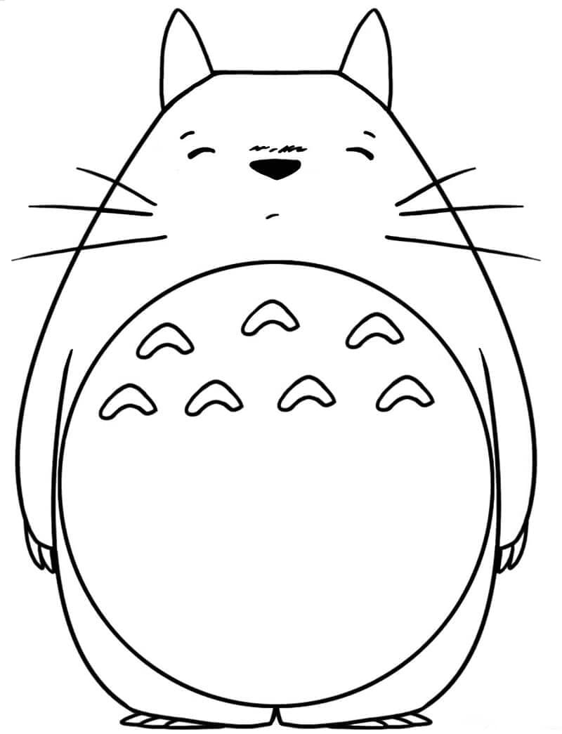 Můj Soused Totoro (17) omalovánka