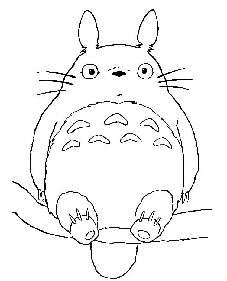 Můj Soused Totoro (20) omalovánka