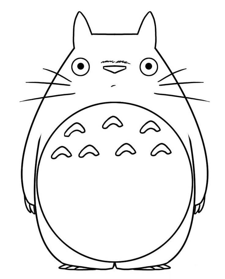 Můj Soused Totoro (22) omalovánka