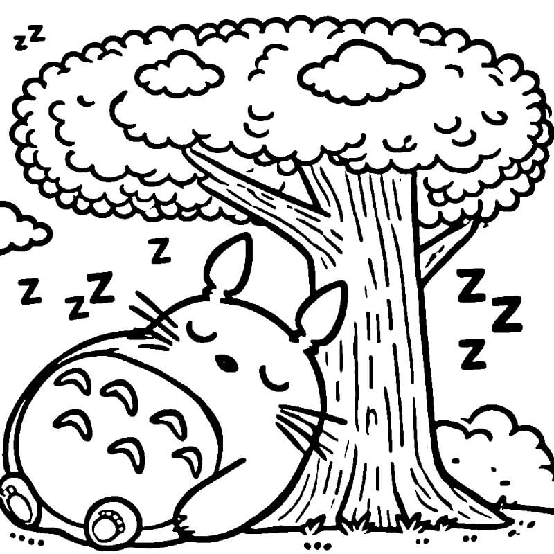 Můj Soused Totoro (6) omalovánka