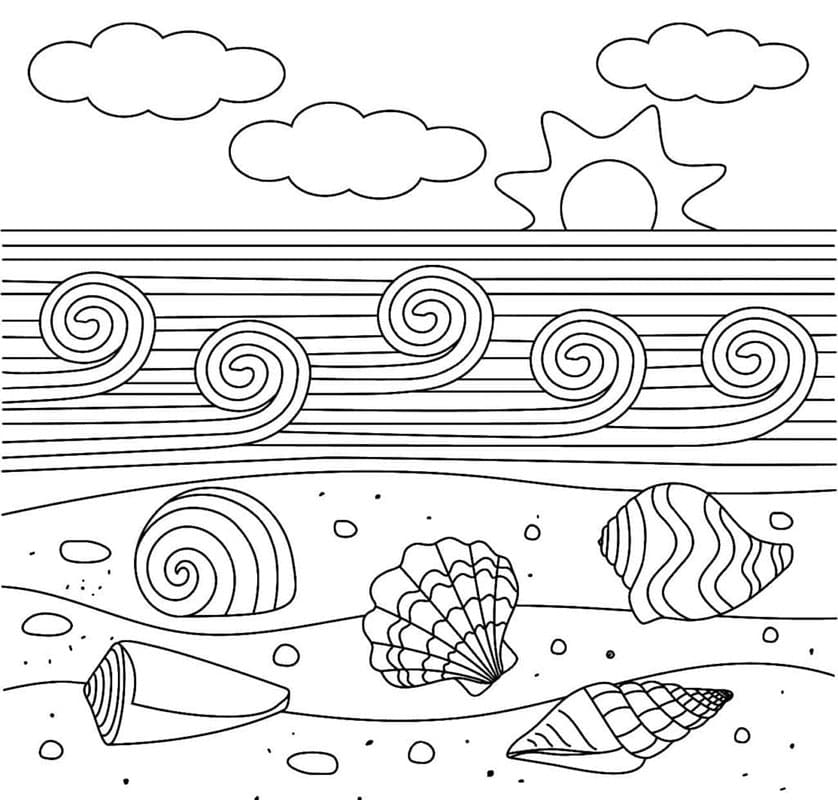 Mušle Obrázek omalovánka