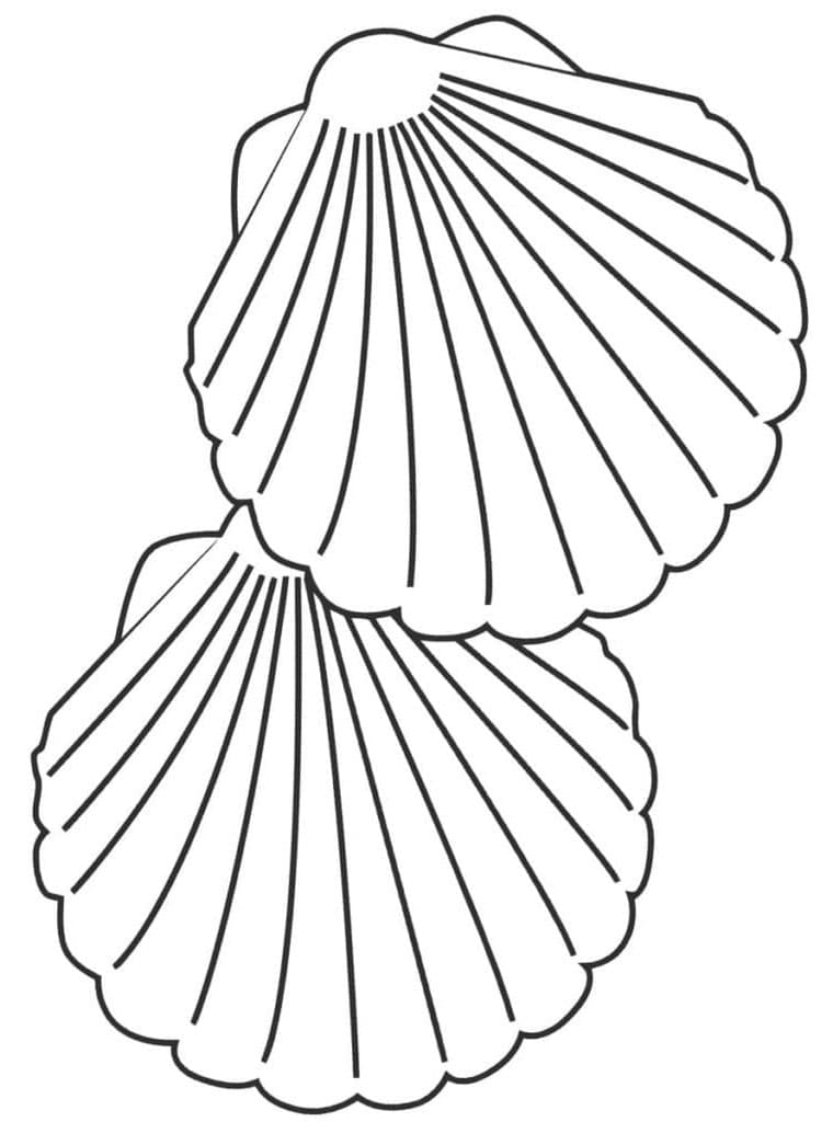 Mušle Tisknutelná pro Děti omalovánka