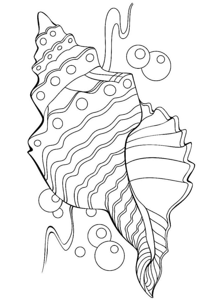 Mušle k Vymalování omalovánka