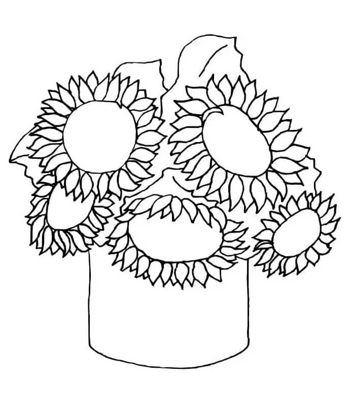 Nádherná Slunečnice omalovánka