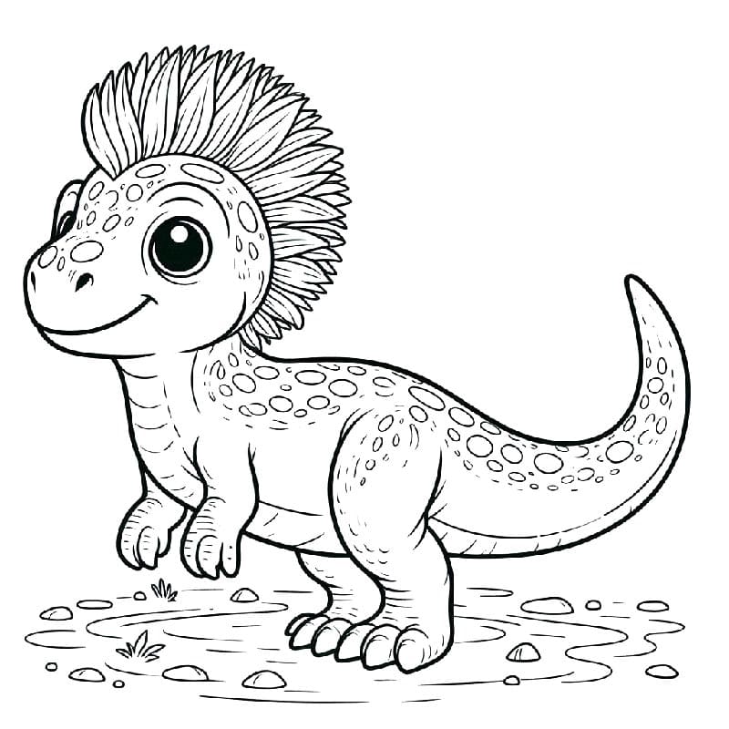 Nádherný Dinosaurus omalovánka