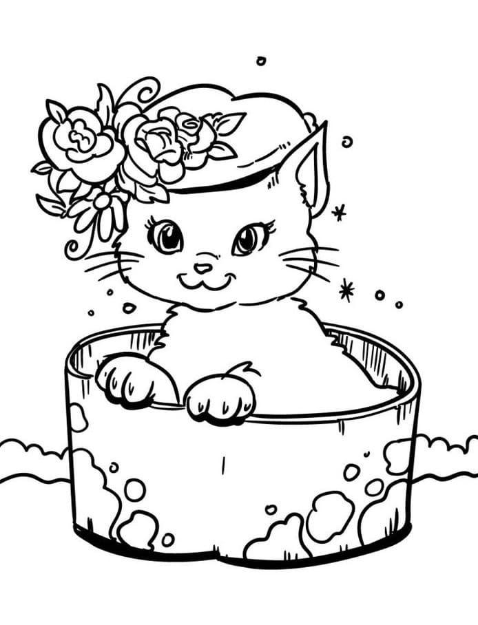 Nádherný Kočka omalovánka