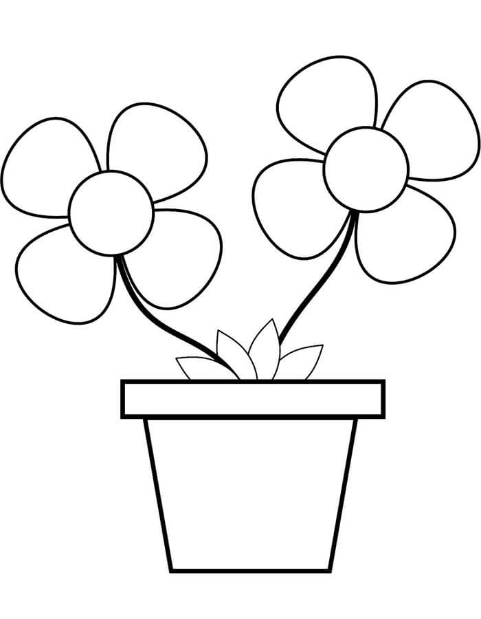 Nádherný Květináč omalovánka