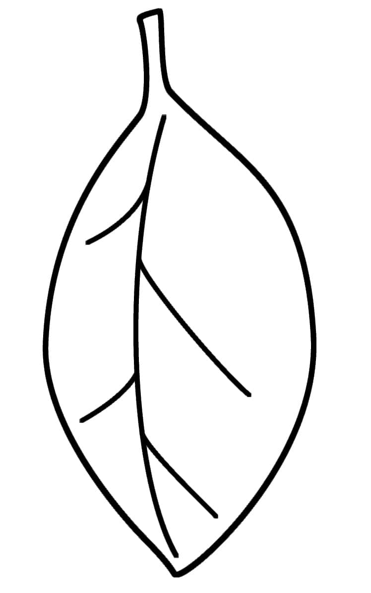 Nádherný List omalovánka