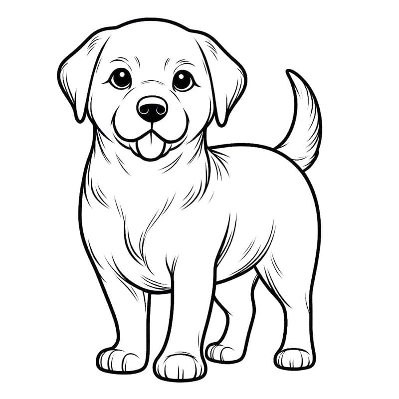 Nádherný Pes omalovánka