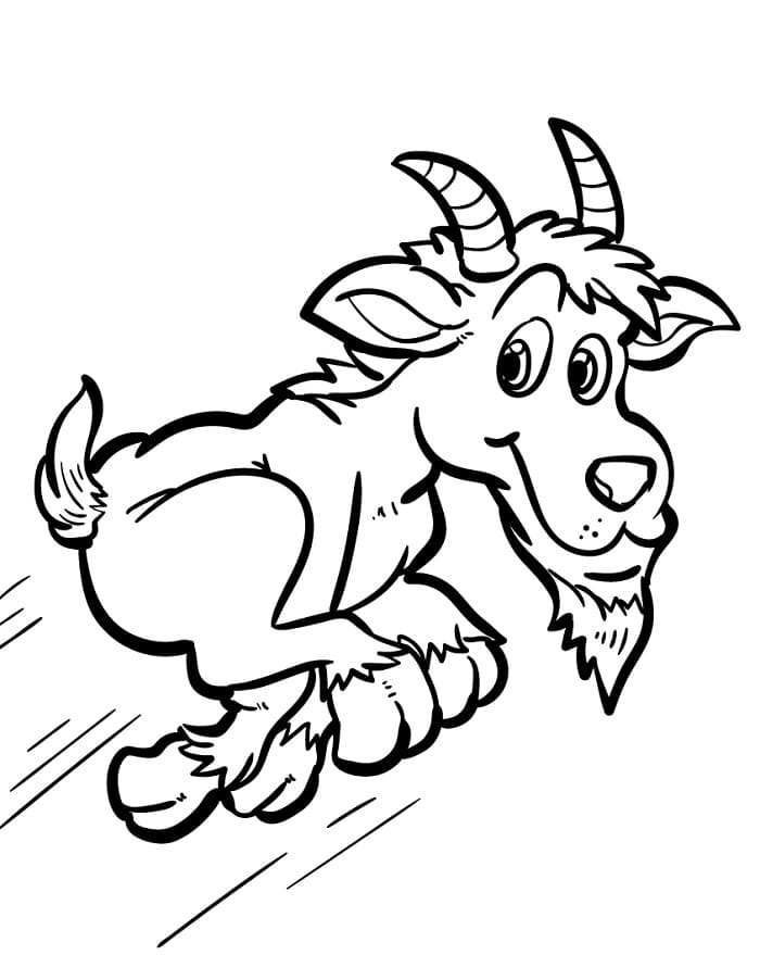 Obyčejná Koza omalovánka