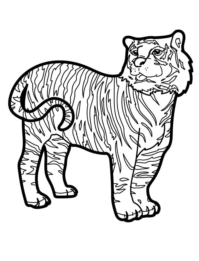 Obyčejná Tygr omalovánka