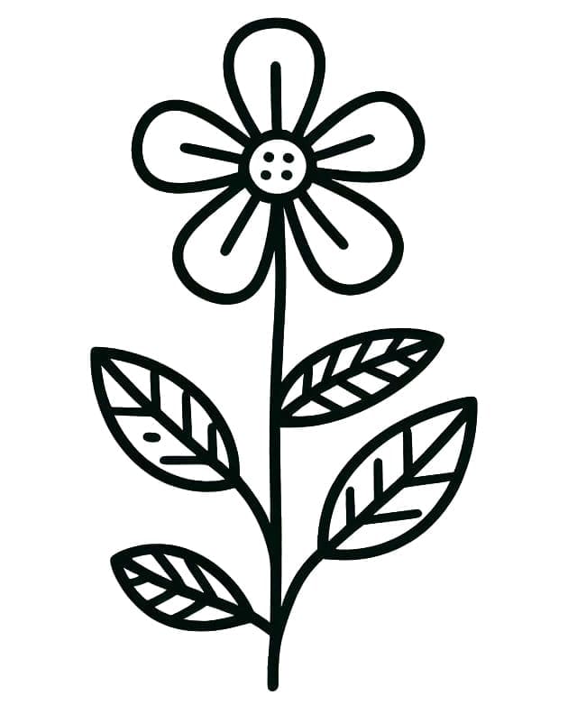 Očarující Květina omalovánka
