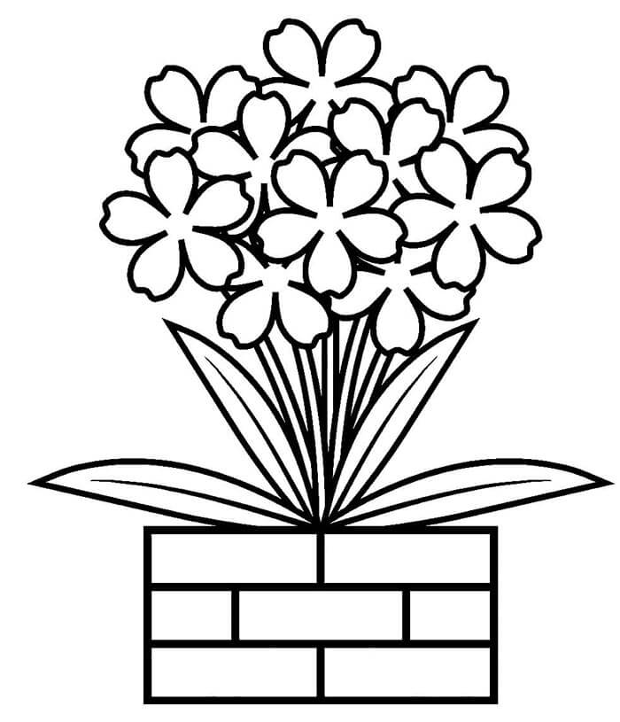 Okouzlující Květináč omalovánka