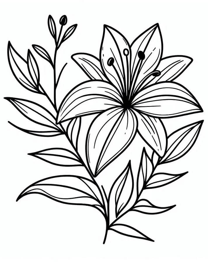 Okouzlující Lilie omalovánka
