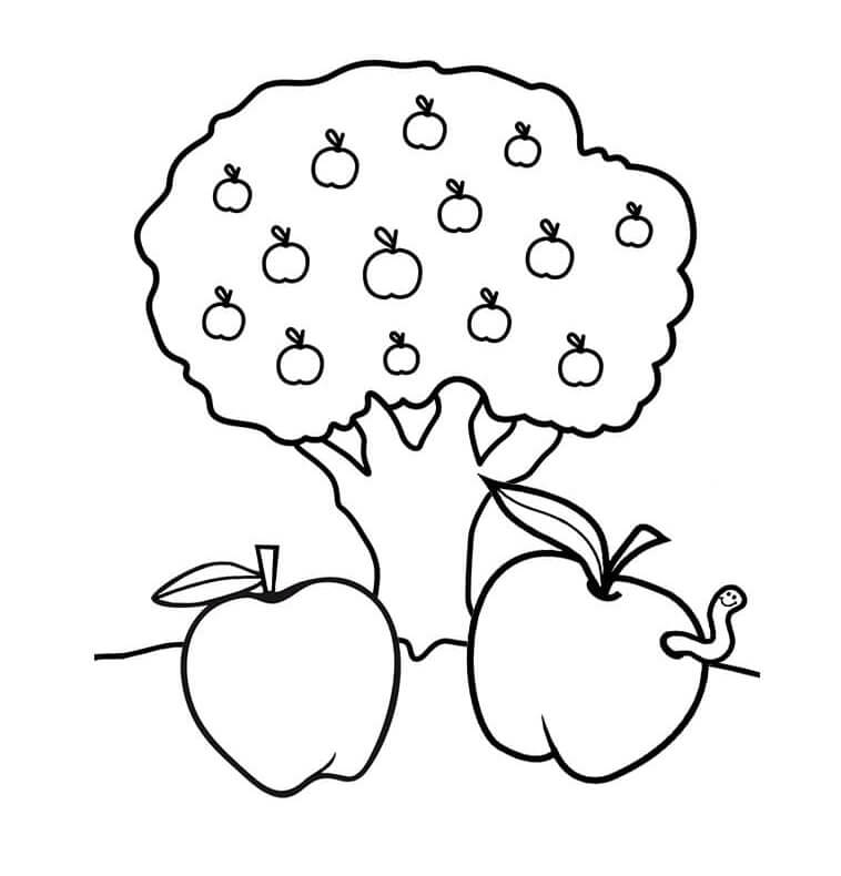 Ovoce (11) omalovánka