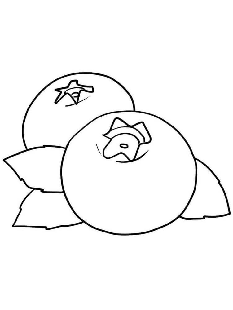 Ovoce (12) omalovánka