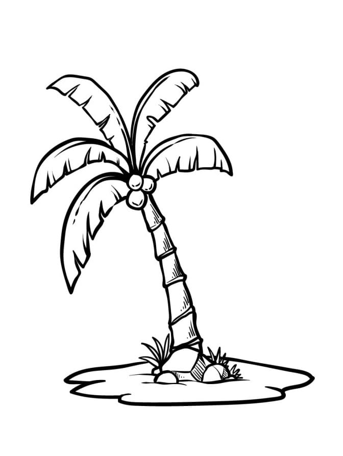 Palma Tisknutelná Zdarma omalovánka