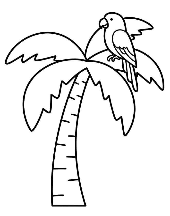 Palma Zdarma pro Děti omalovánka