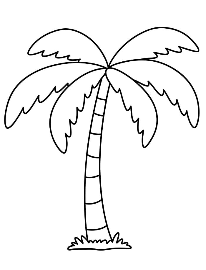 Palma k Tisku omalovánka