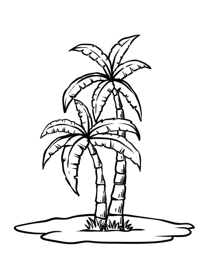 Palma k Vymalování omalovánka