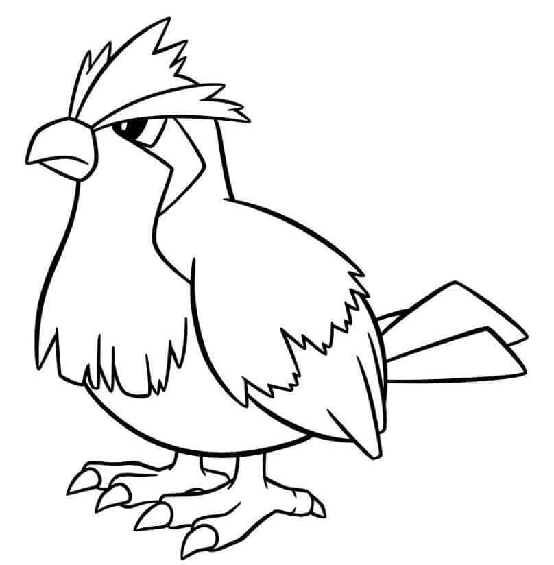 Pidgey Pokemon omalovánka