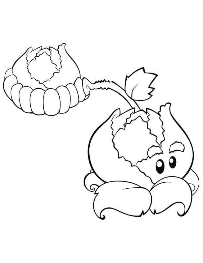 Plants vs Zombies (24) omalovánka