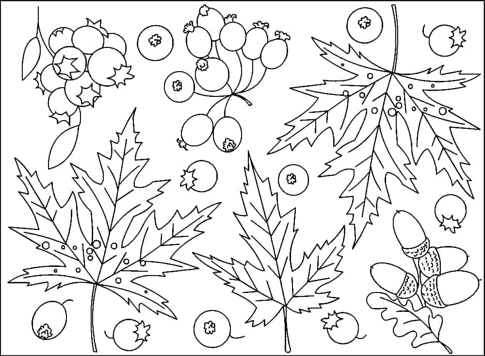 Podzimní sezóna omalovánka