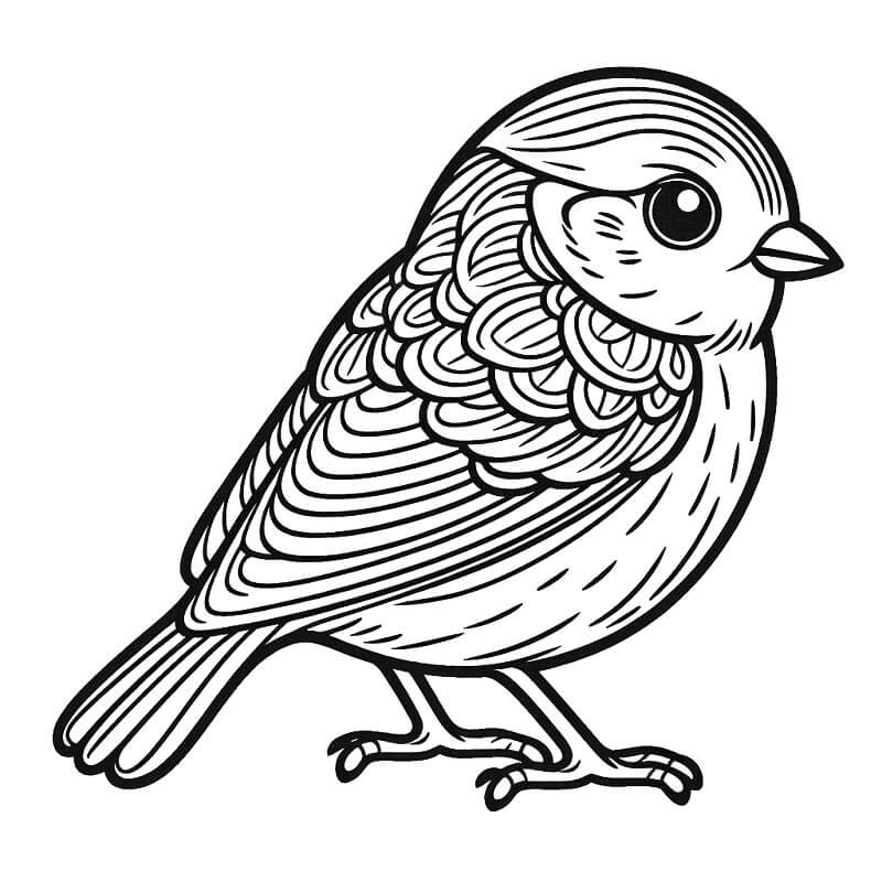 Pták pro 2leté Děti omalovánka