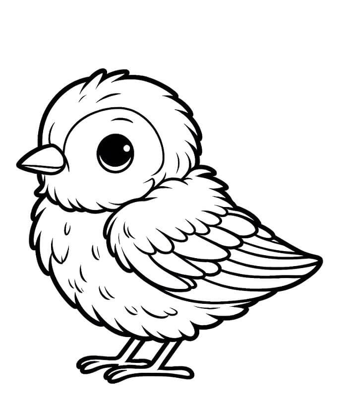 Pták pro 5leté Děti omalovánka