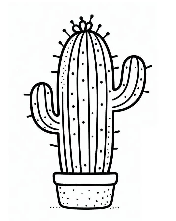 Půvabný Kaktus omalovánka